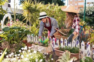 expert landscape gardeners near me for garden renovation