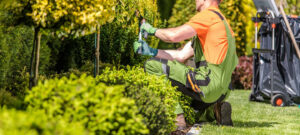 garden designers derby